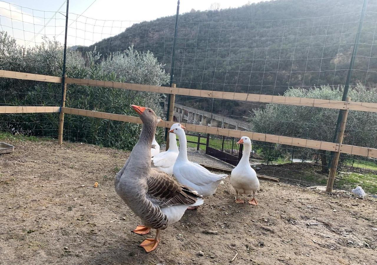 Peq Agri-resort Tovo