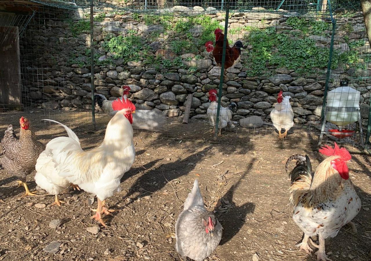 Peq Agri-resort Tovo Farm stay *