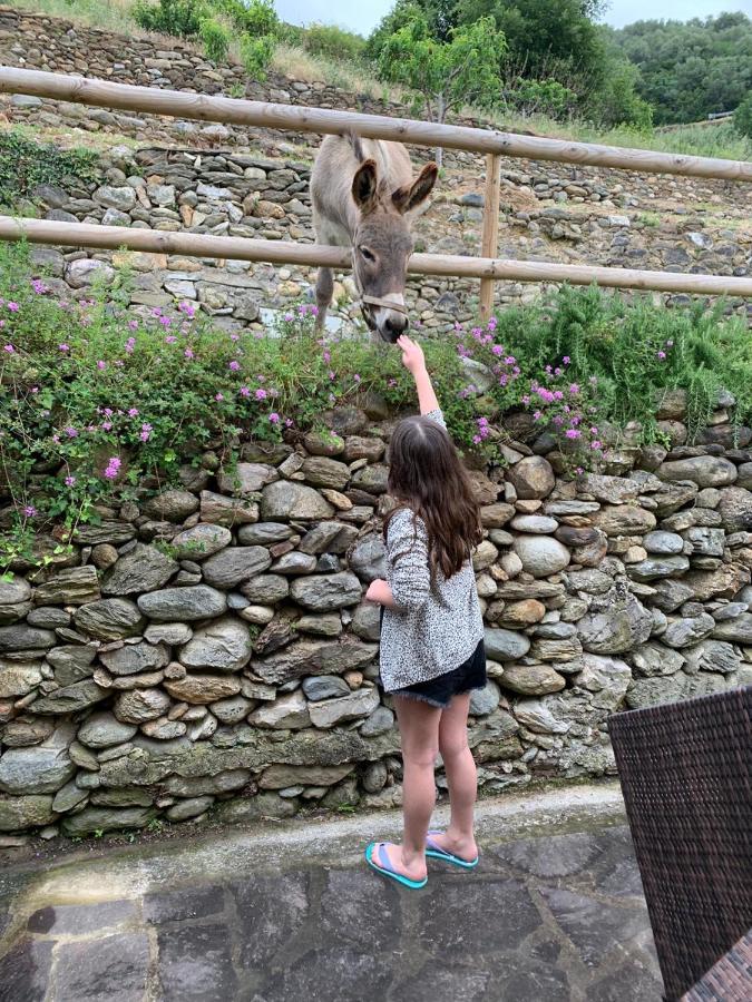 Peq Agri-resort Tovo Farm stay Tovo San Giacomo