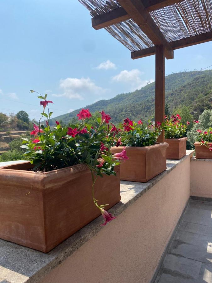 Peq Agri-resort Tovo Farm stay *