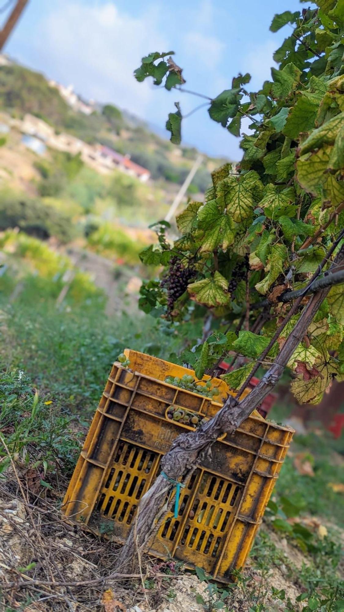 Peq Agri-resort Tovo Tovo San Giacomo