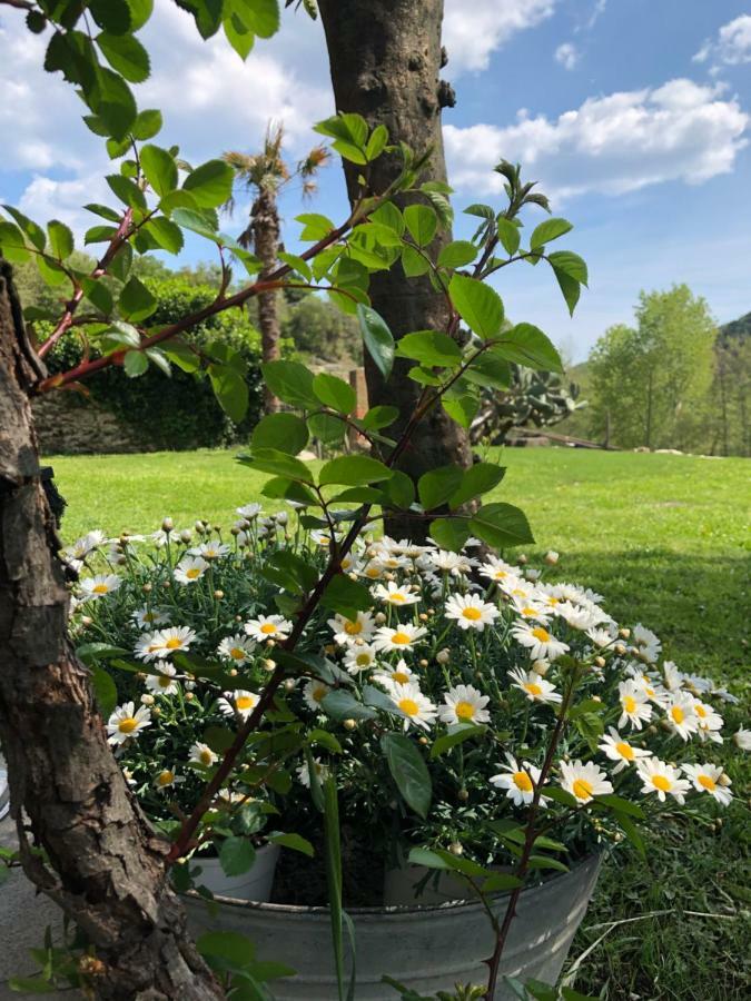 Peq Agri-resort Tovo *