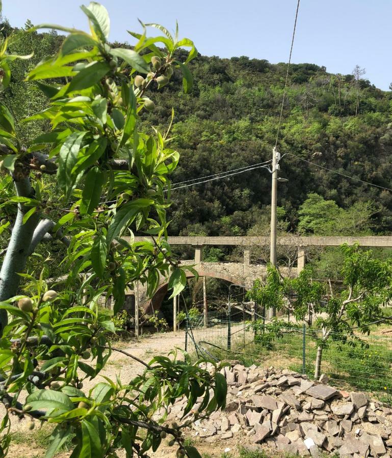 Peq Agri-resort Tovo *