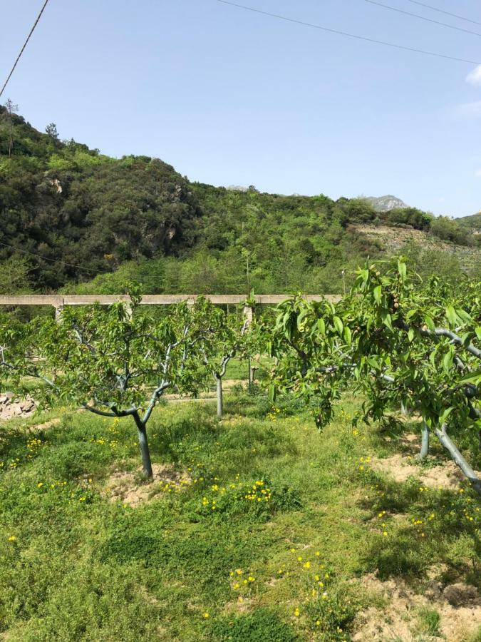 Peq Agri-resort Tovo Alojamento de Turismo Rural Tovo San Giacomo